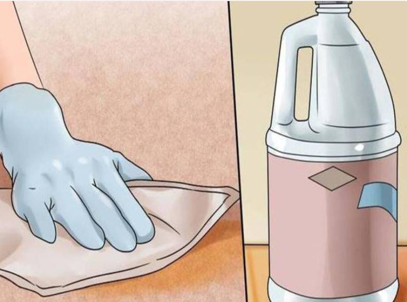 15 способов избавиться от запаха кошачьей мочи в домашних условиях
