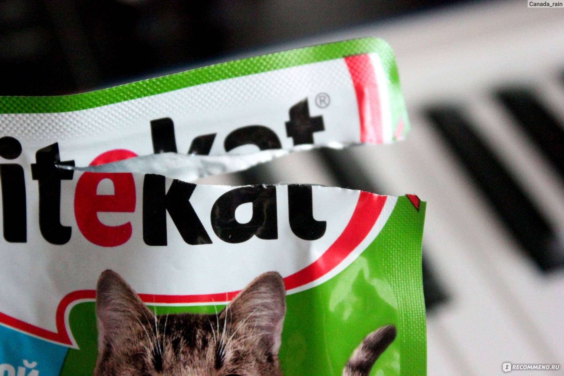 Популярный корм для кошек kitekat - полный обзор для владельцев