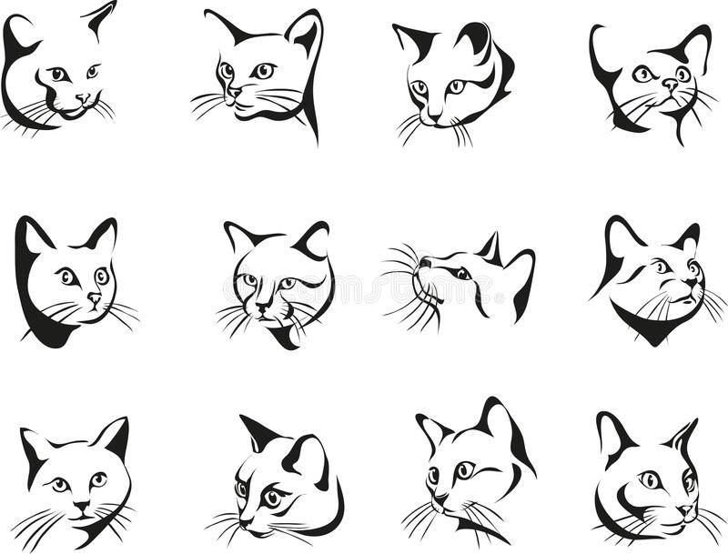Как рисовать животных: кошки и их анатомия