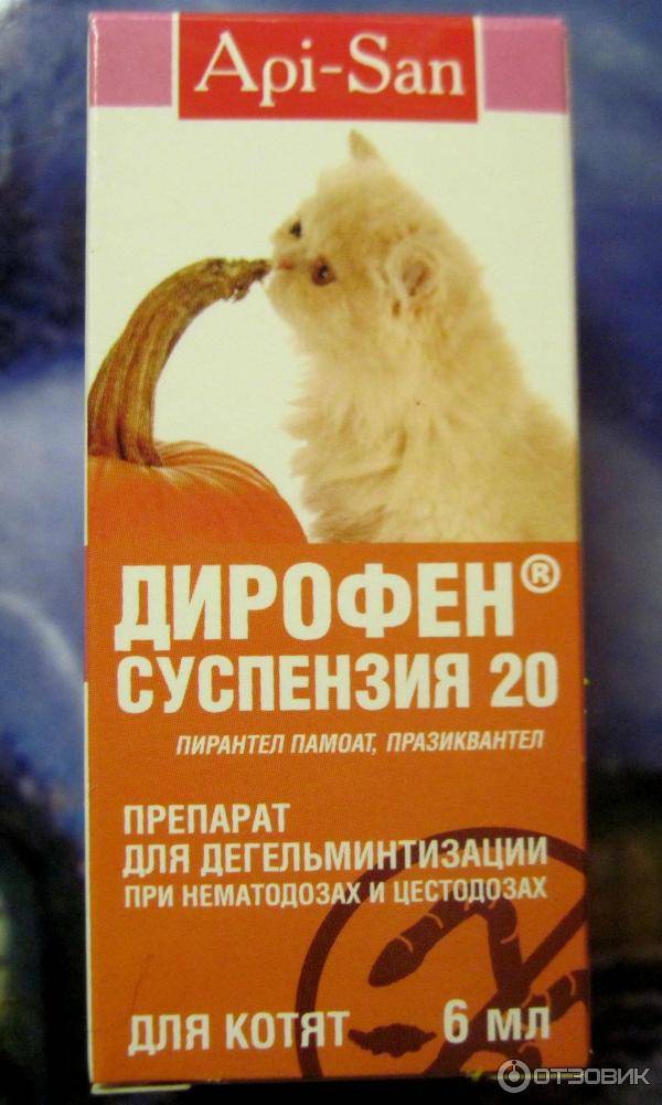 Дирофен (таблетки) для котят, кошек, щенков, собак | отзывы о применении препаратов для животных от ветеринаров и заводчиков
