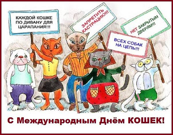 Всемирный день кошек