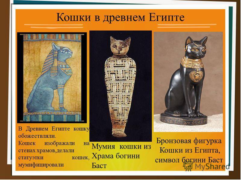 Кошка была приручена в древнем. Происхождение кошек древний Египет одомашнивание. Священная кошка в древнем Египте. Кошки в Египте. Древние египетские кошки.