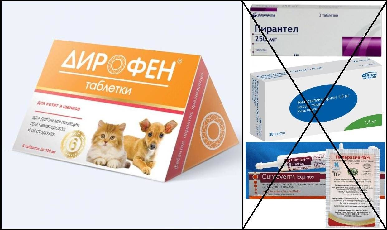 Дирофен таблетки для крупных собак - купить, цена и аналоги, инструкция по применению, отзывы в интернет ветаптеке добропесик