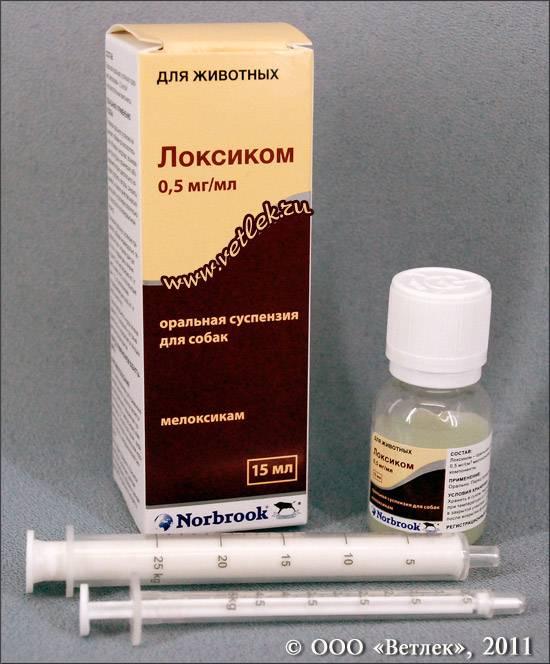 Локсиком для собак: инструкция по применению, назначение и дозировка, противопоказания