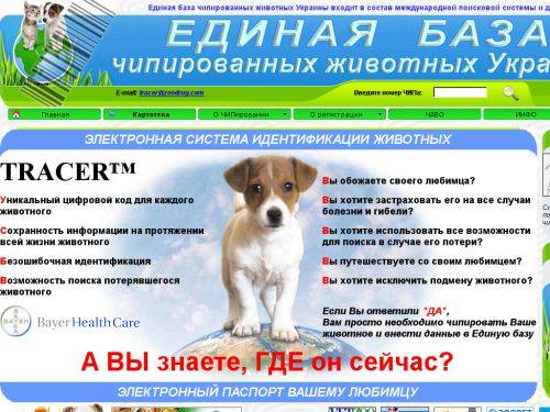 Все о клеймении собак
