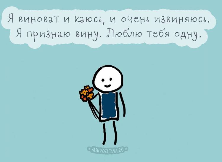 Как извиниться перед кошкой