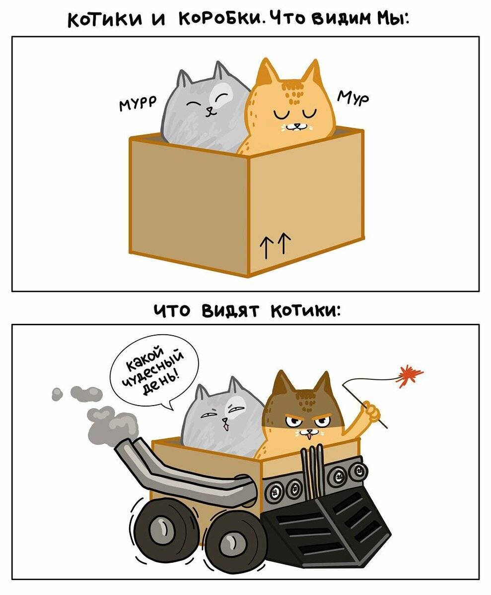 Почему коты любят сидеть в пустых коробках и пакетах?