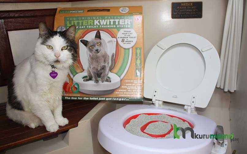 Рейтинг автоматических туалетов для кошек в 2021 году