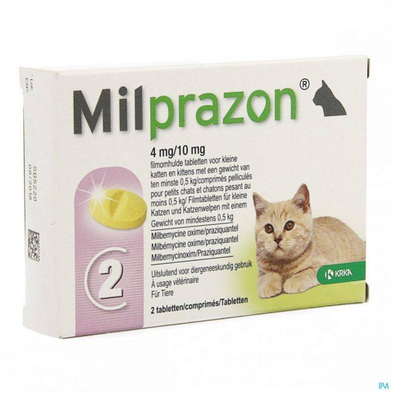 Милпразон для кошек: инструкция и показания к применению, отзывы, цена