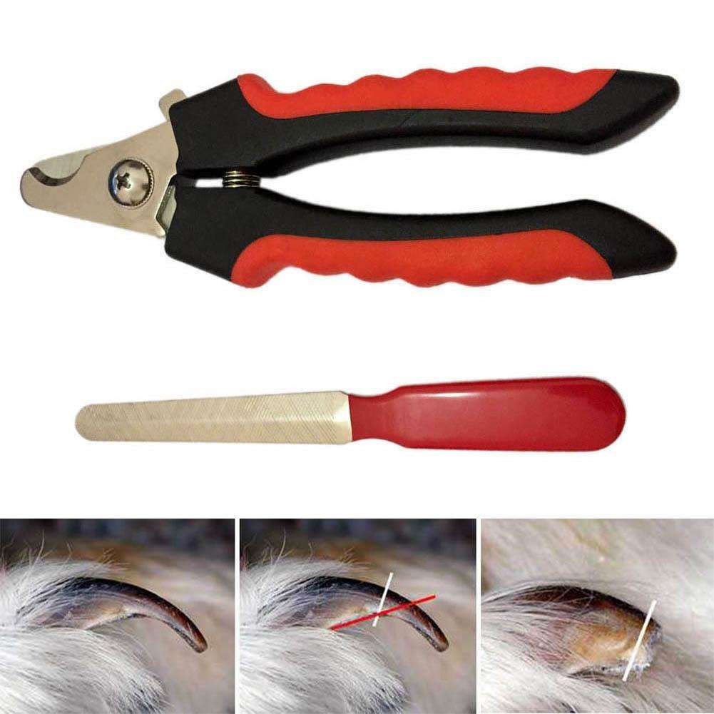 Какие бывают когтерезы для собак: какие ножницы для стрижки когтей выбрать