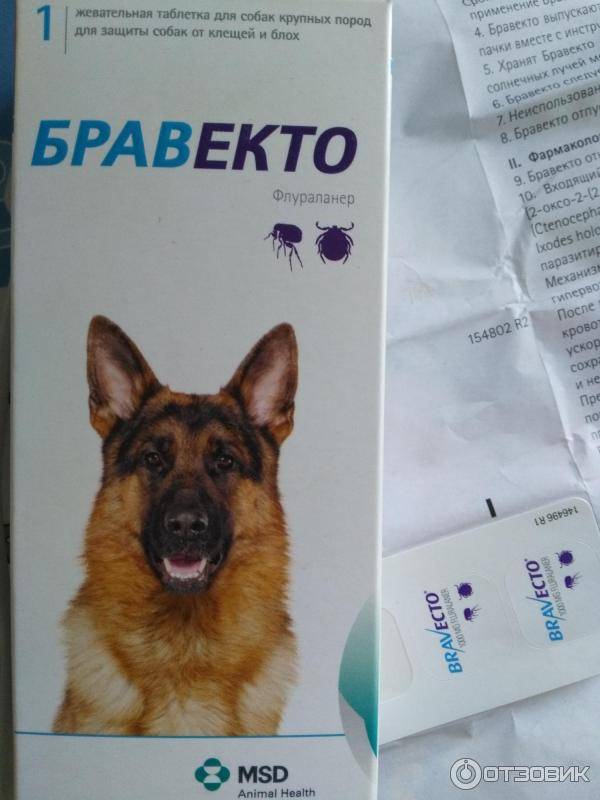 Капли практик от клещей для собак