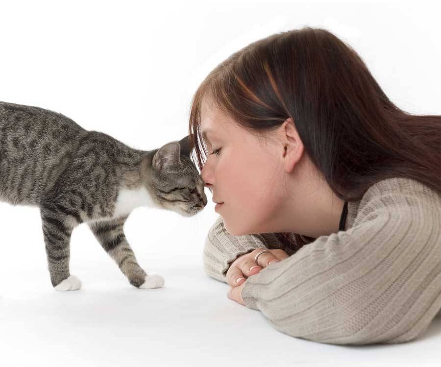 14 способов, как коты демонстрируют вам свою любовь