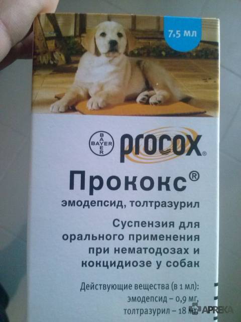 Прококс для собак