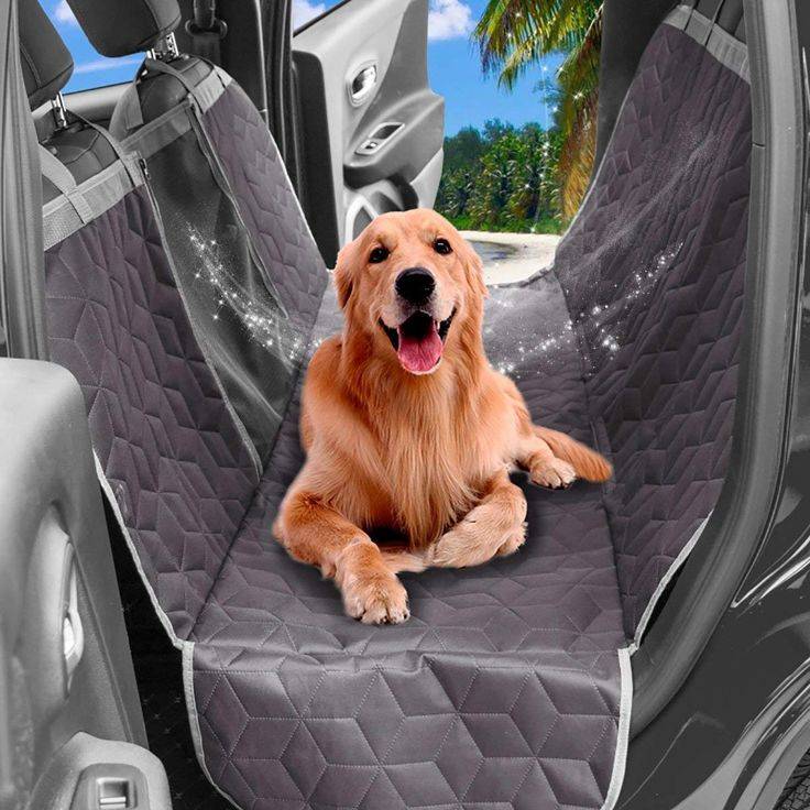 Как перевозить собаку в машине?: автогамак и клетки, чехлы и переноски в машину, с помощью которых можно перевозить собак