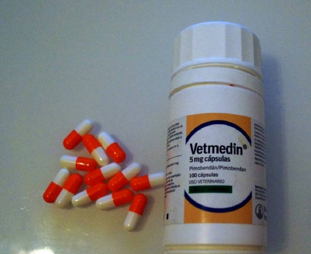 Таблетки жевательные boehringer ingelheim ветмедин 1,25мг 50 таб/уп, блистеры таблетки, жевательные