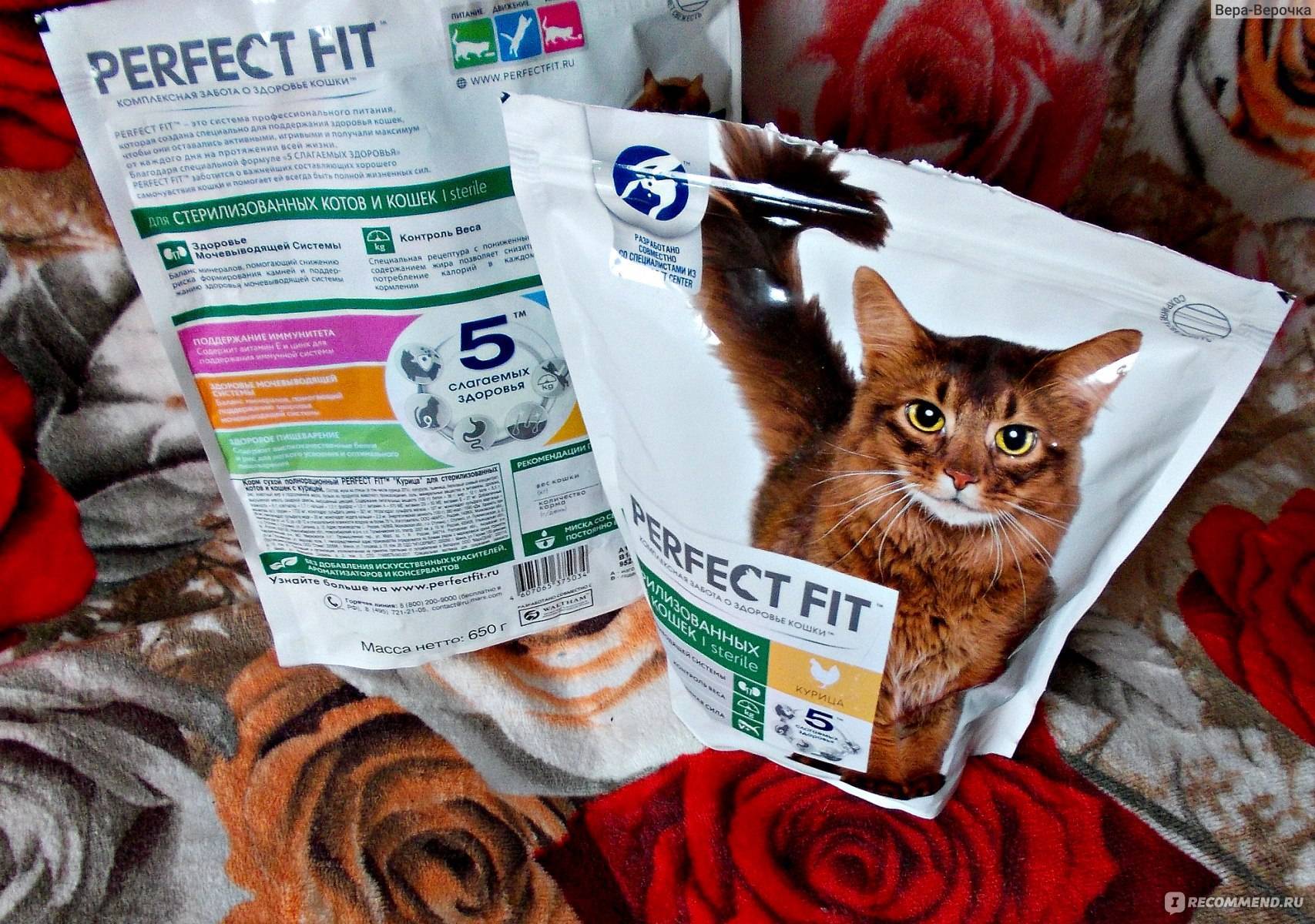 Корм для кошек перфект фит: обзор продукции, достоинства и недостатки, отзывы ветеринаров