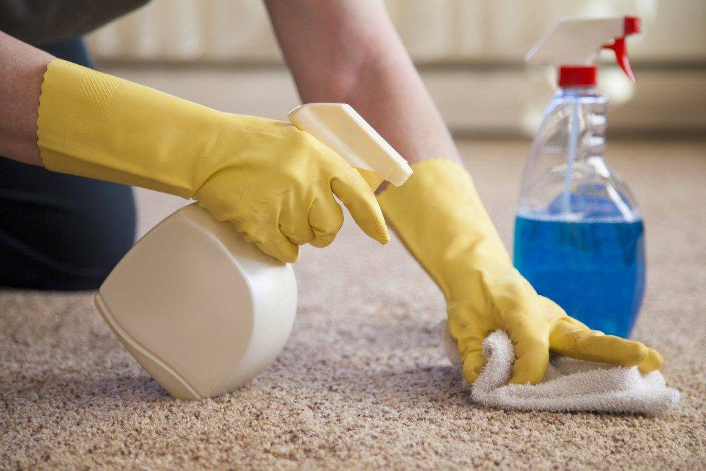Как избавиться от запаха кошачьей мочи на ковре в домашних условиях, чем вывести пятна, убрать следы меток, удалить неприятный аромат