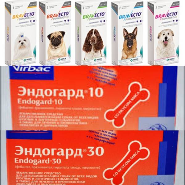 Эндогард 10 антигельминтик для собак