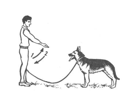 Как научить собаку команде нельзя или фу