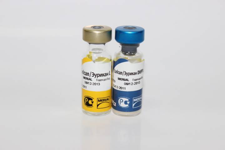 Вакцина для собак merial эурикан dhppi-l, 1 д