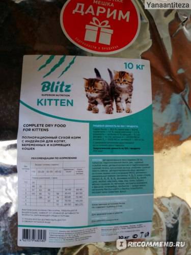 Корм для кошек blitz: отзывы, разбор состава, цена