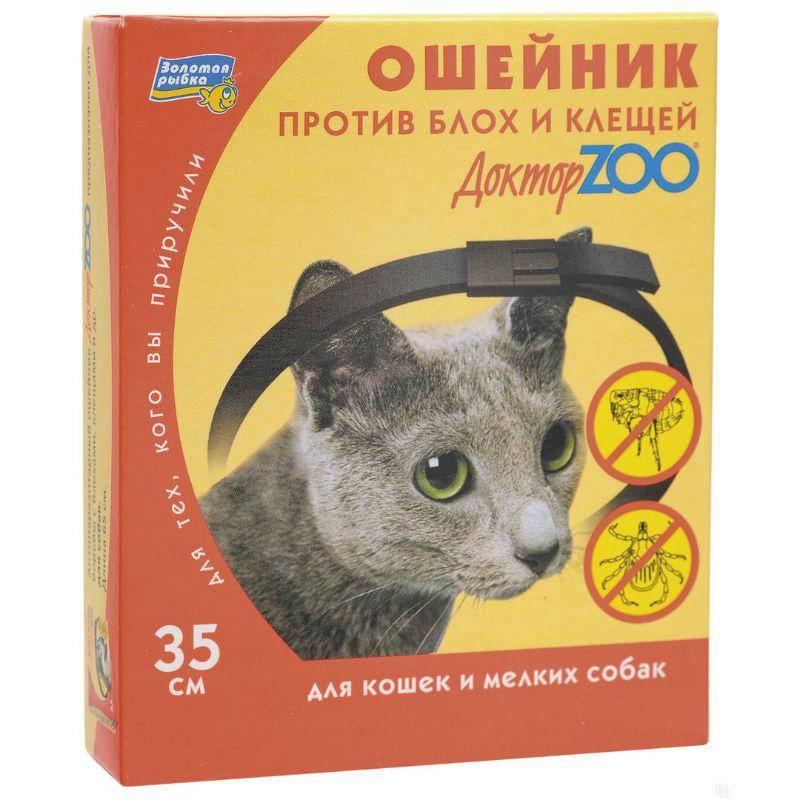 Ошейник от блох и клещей для кошек и котят: отзывы, правила применения