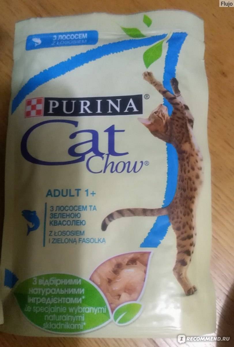 Кэт чау — корм для кошек