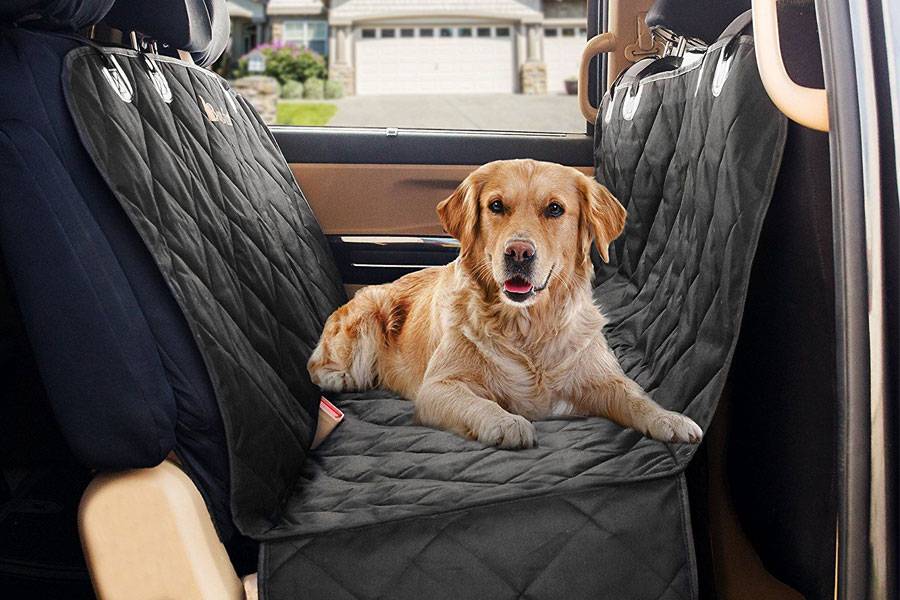 Перевозка собаки в автомобиле: правила путешествий, приспособления - гамак, чехол, накидка, как перевозить крупных питомцев