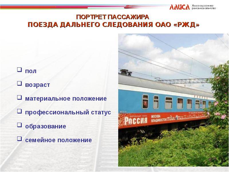 Как перевозить кошек в поезде? 22 фото правила перевозки кота в россии на дальние расстояния. какие документы нужны для провоза?