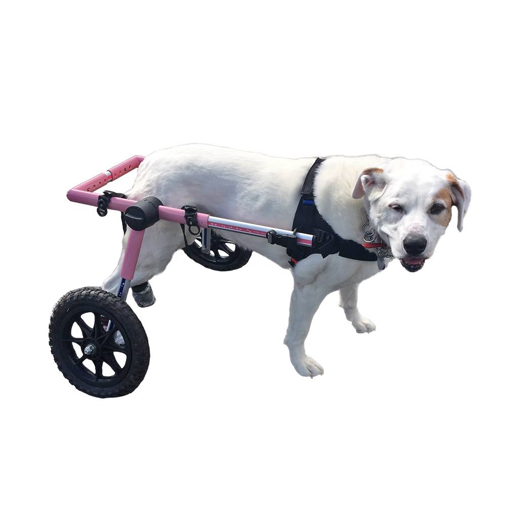 Коляски для собак (33 фото): описание прогулочных колясок для перевозки собак мелких пород