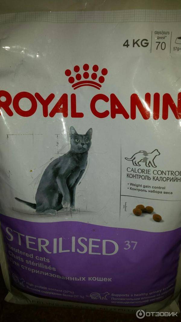 Корм для кошек royal canin kitten