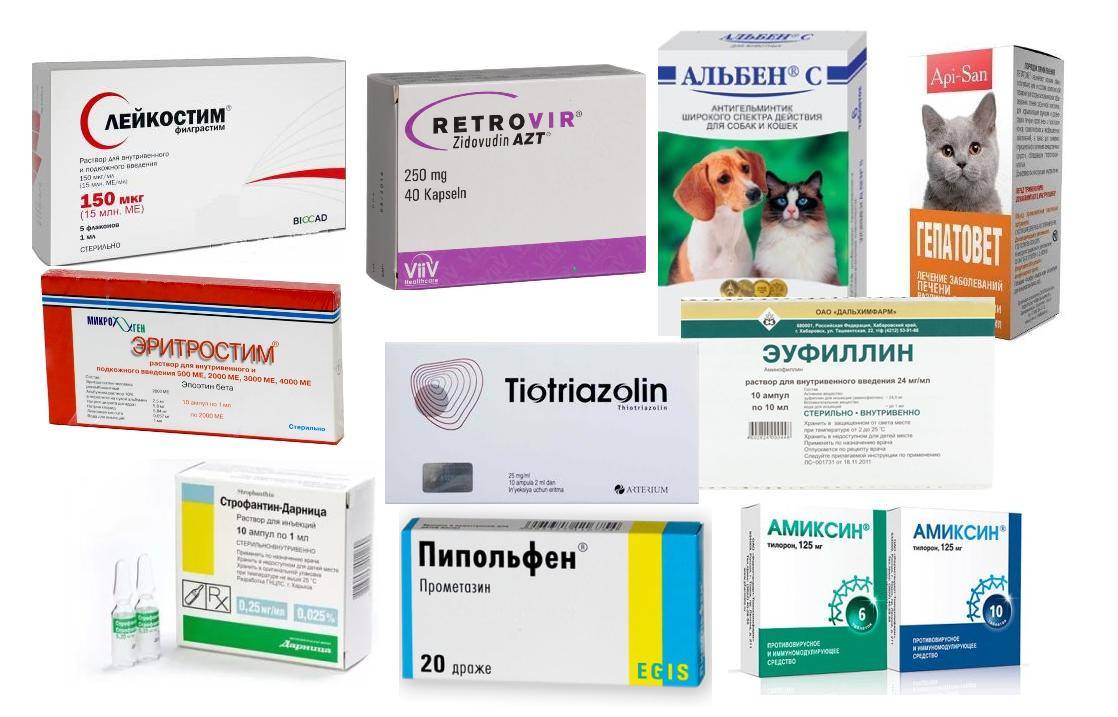 Антигистаминные препараты - перечень популярных лекарств по группам