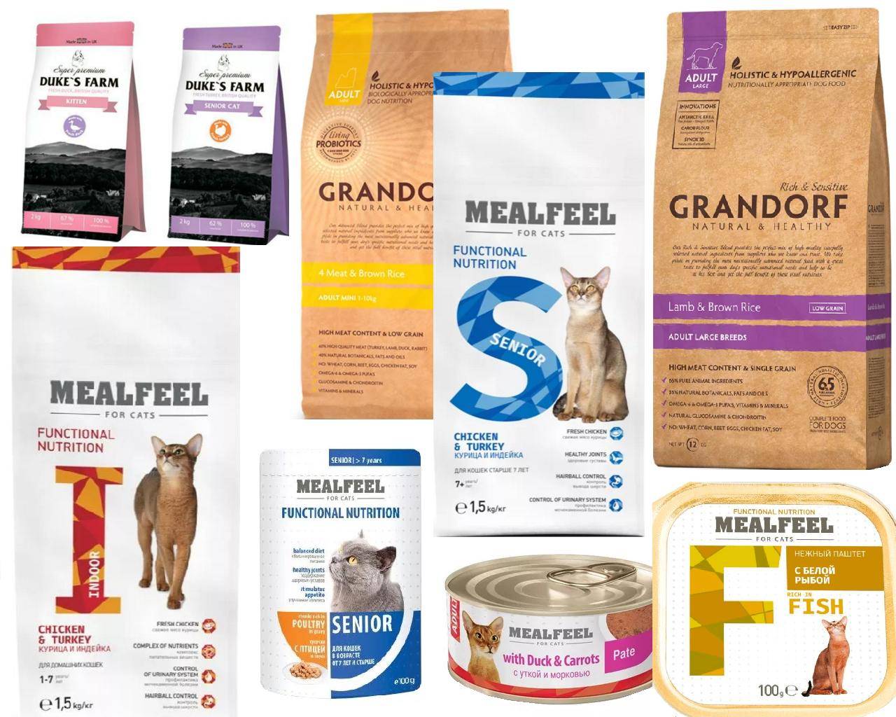 Сухие корма для собак: классы, критерии выбора и правила кормления