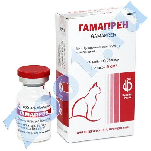 Калицивироз кошек. применение препарата гамапрен