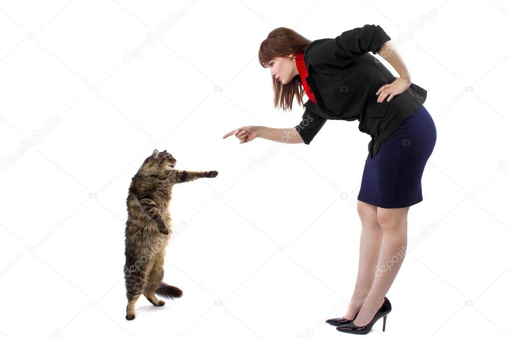 Как наказать кошку, можно ли и как правильно это делать, чтобы кот понял (за плохое поведение, за то, что гадит, кусается)