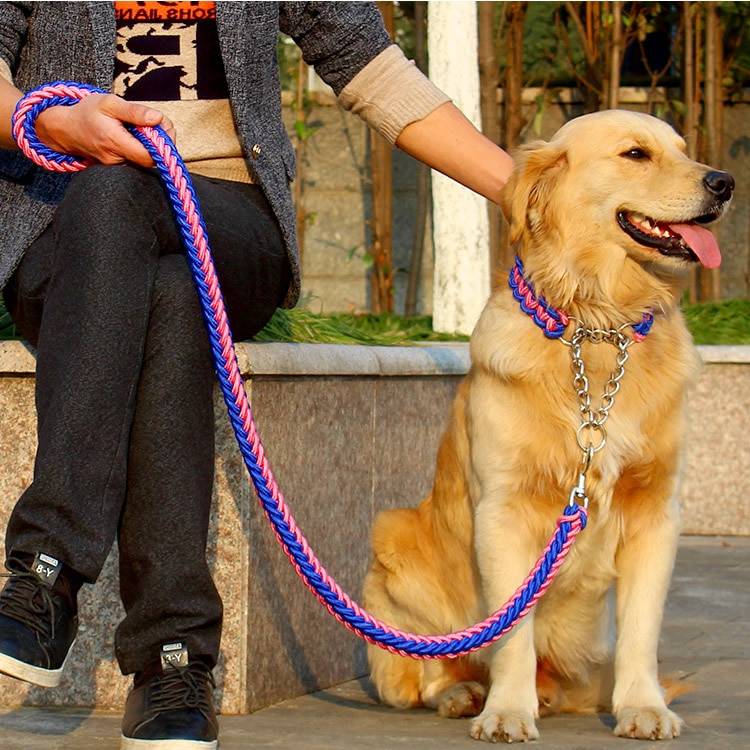 Как сделать ринговку для собаки своими руками: пошаговая схема и инструкции, мастер-класс