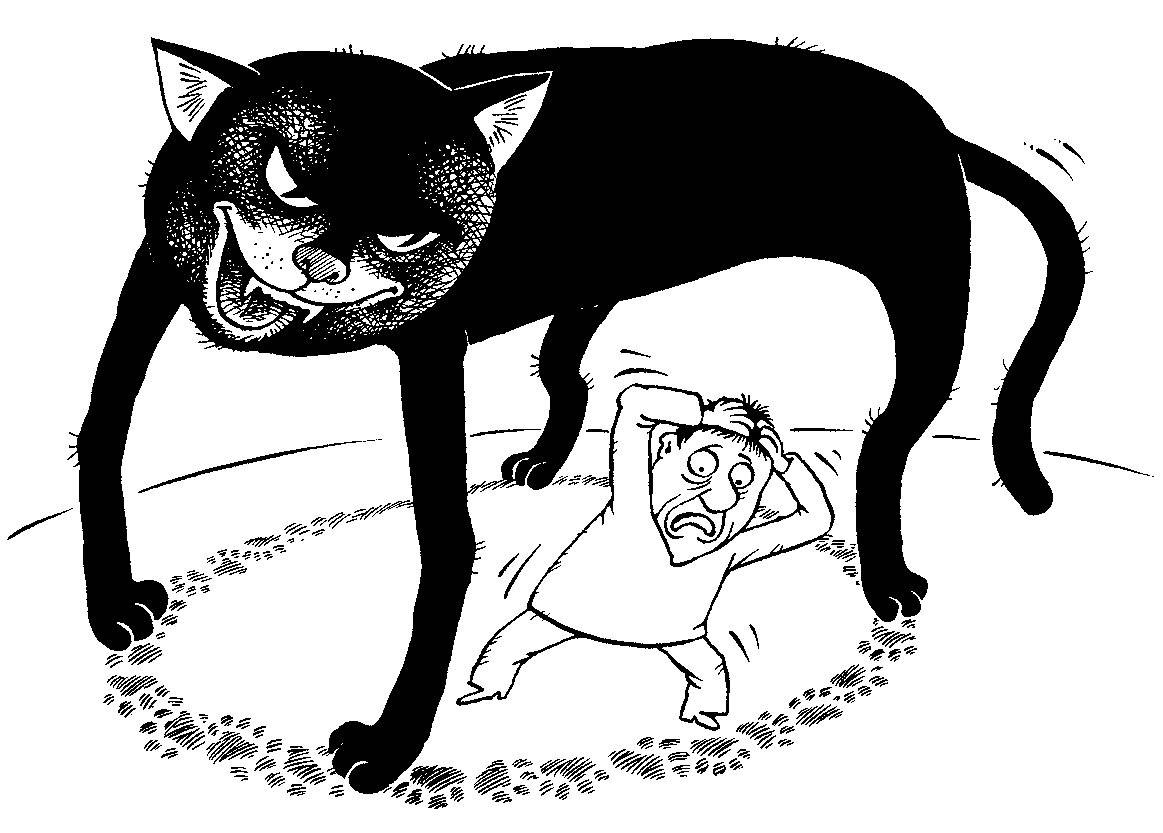 Откуда пошли все суеверия про черных котов и правдивы ли они | gafki.ru | яндекс дзен