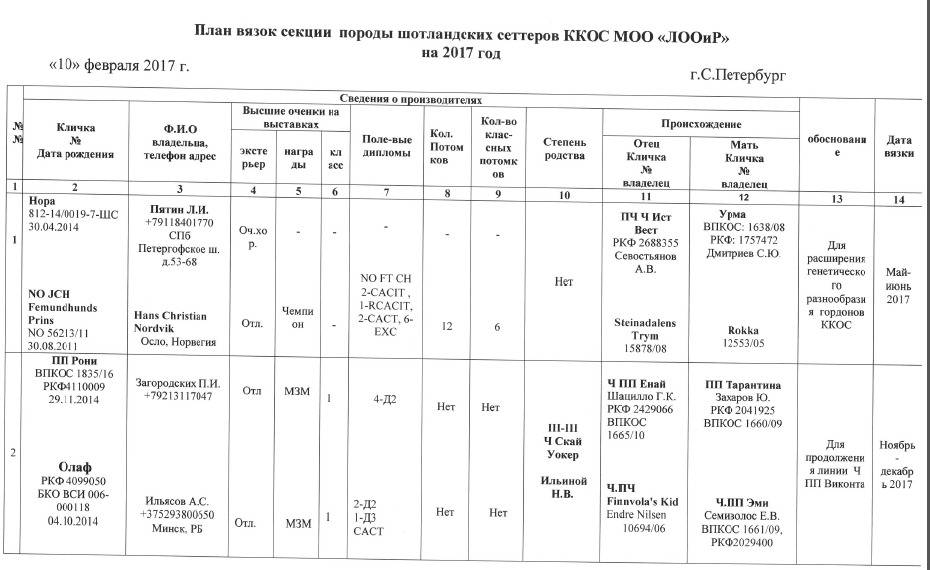 Течка у собак – особенности, сколько длится, когда начинается