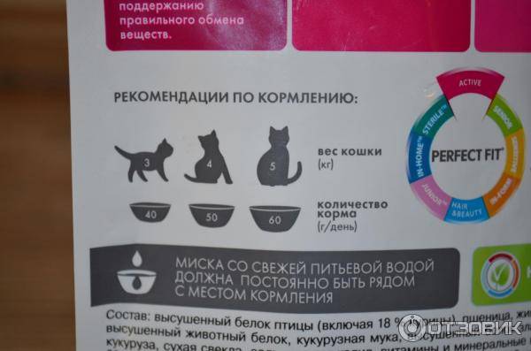 Вреден ли сухой корм для кошек: разберём вред и пользу по науке