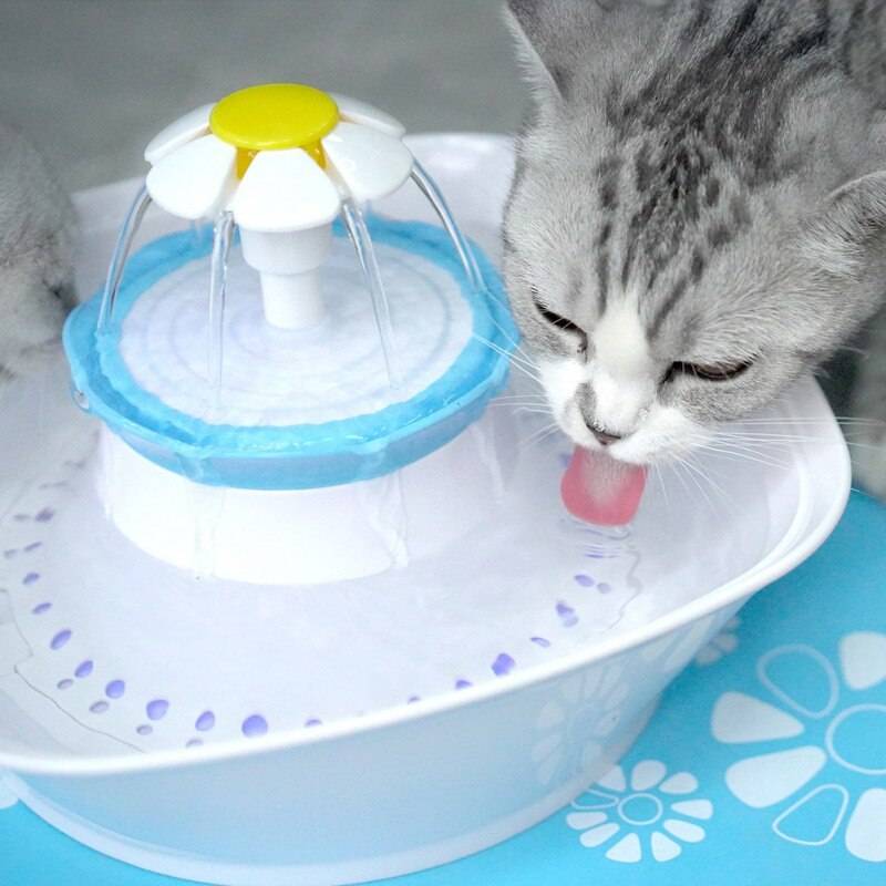 Поилка (фонтан) для кошек: рейтинг лучших 4, как сделать самому