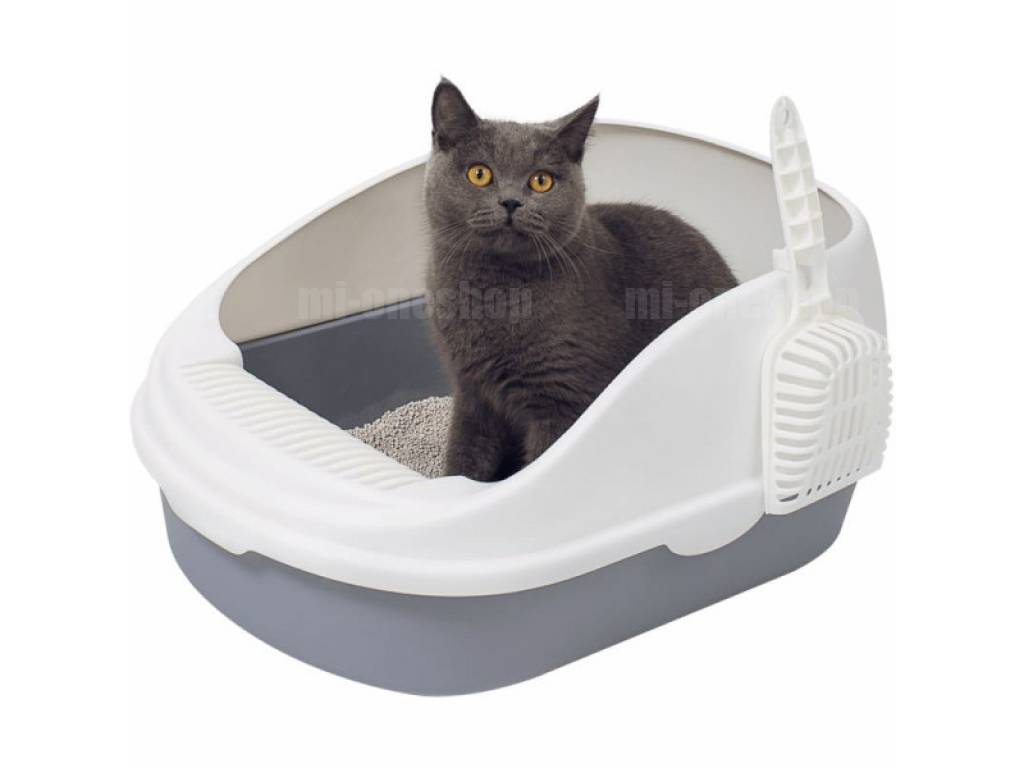 Туалет для кошек — какой лучше выбрать? обзор, советы и рекомендации