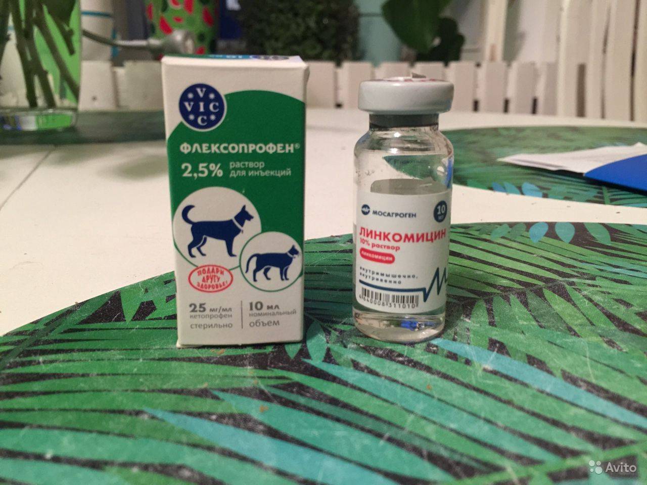 Флексопрофен для кошек – уколы от боли