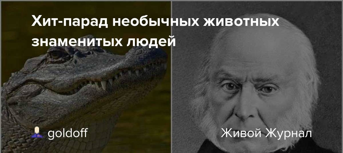 Популярные мемы со странной историей происхождения | brodude.ru