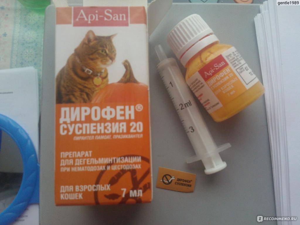Дирофен-суспензия 60 для взрослых собак и кошек, 10 мл