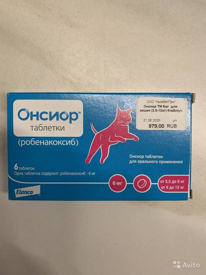 Противовоспалительный и болеутоляющий препарат для собак и кошек elanco онсиор для инъекций (20 мл, для инъекций) - цена, купить онлайн в санкт-петербурге, интернет-магазин зоотоваров - все аптеки