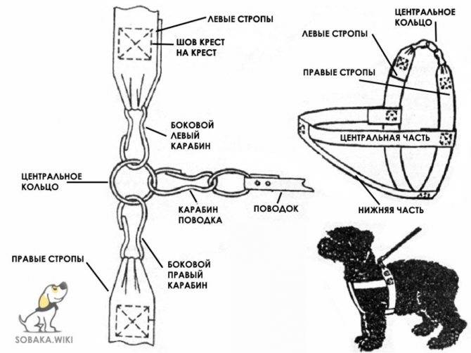 Как сделать ринговку для собаки своими руками: пошаговая схема и инструкции, мастер-класс