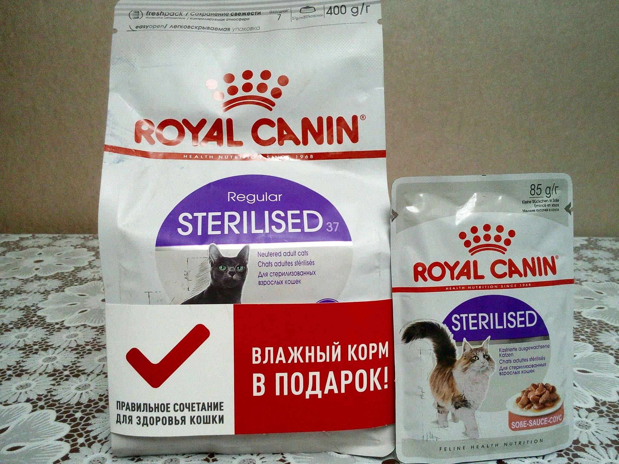 Роял канин влажный для стерилизованных кошек купить. Royal Canin Sterilised 37 стерилизованных. Роял Канин Стерилайзд для кошек 400гр. Royal Canin Sterilised 400. Корм Роял Канин для стерилизованных кошек с 1.