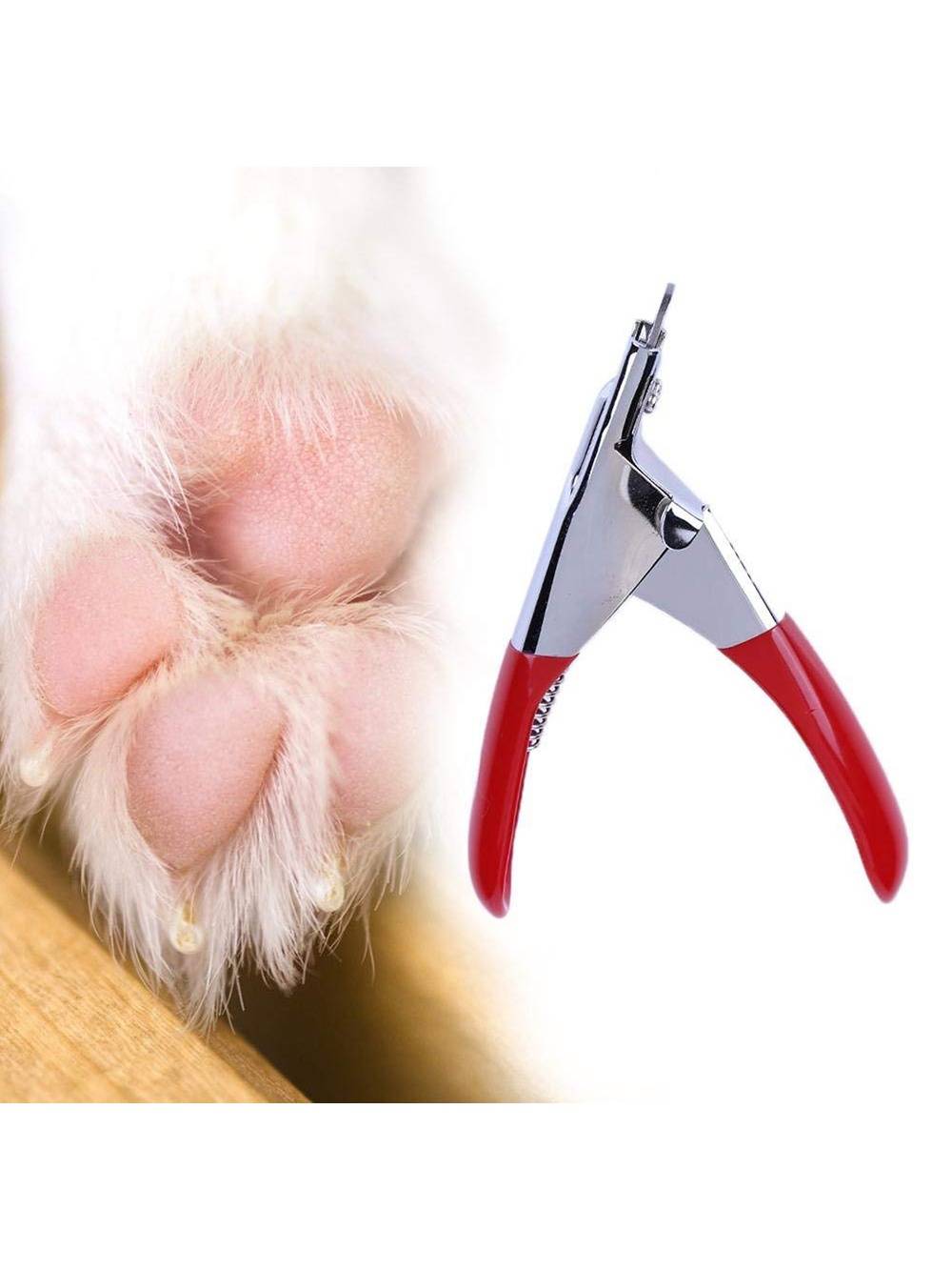 Как правильно подстричь когти собаке в домашних условиях