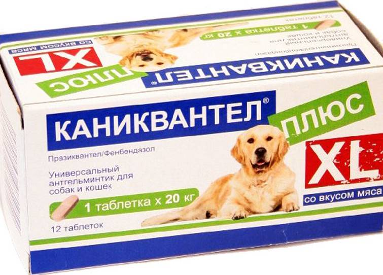 Квантум для собак и кошек, 4 табл. упаковка по цене 116 руб./шт. в москве
