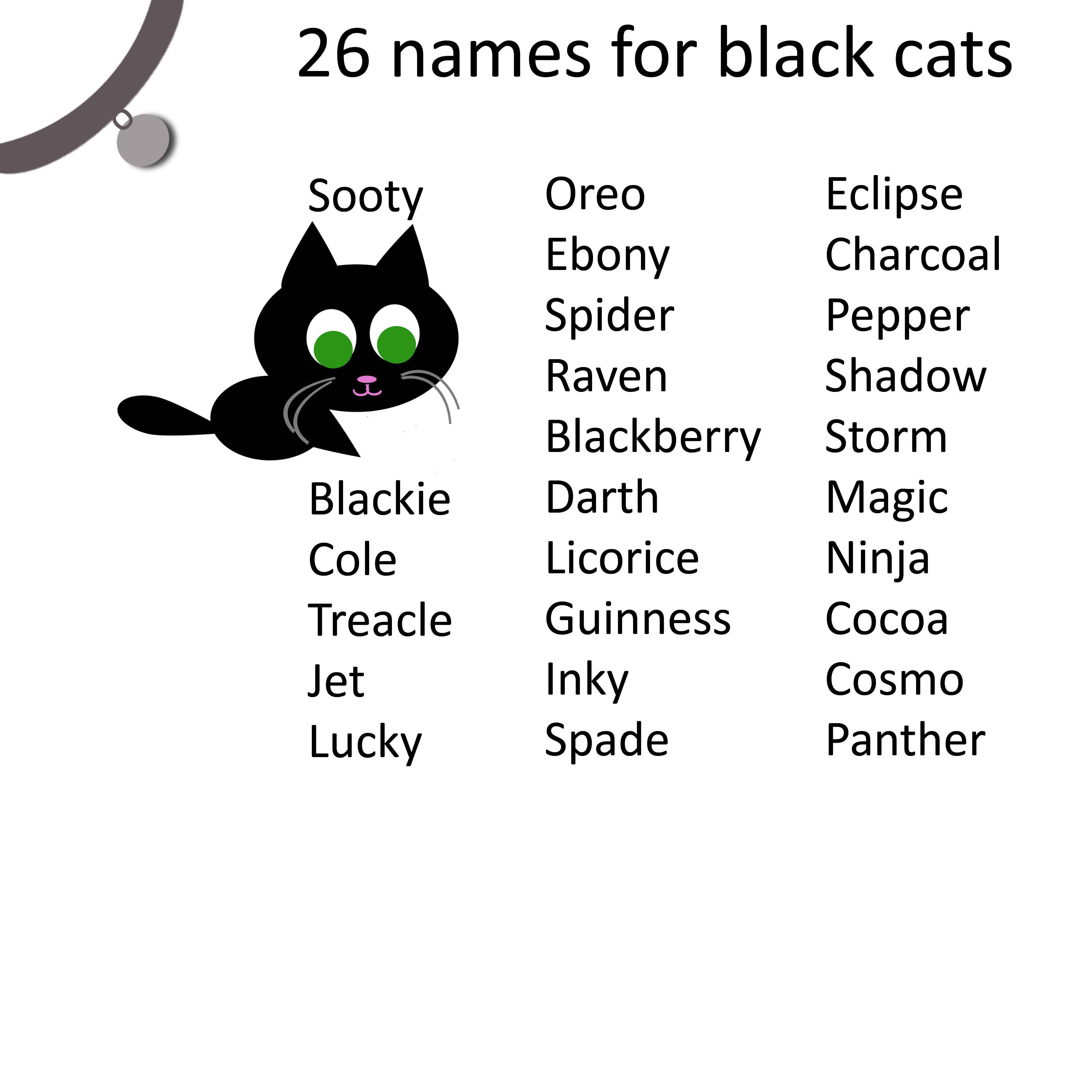 Как назвать чёрного кота или кошку